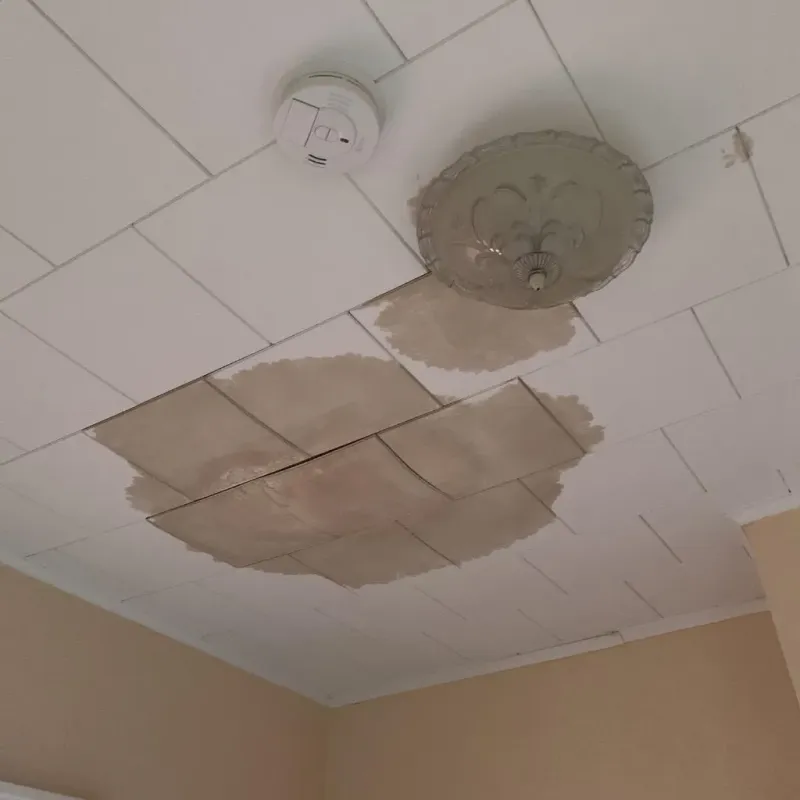 Ceiling Water Damage Repair in Orion, IL