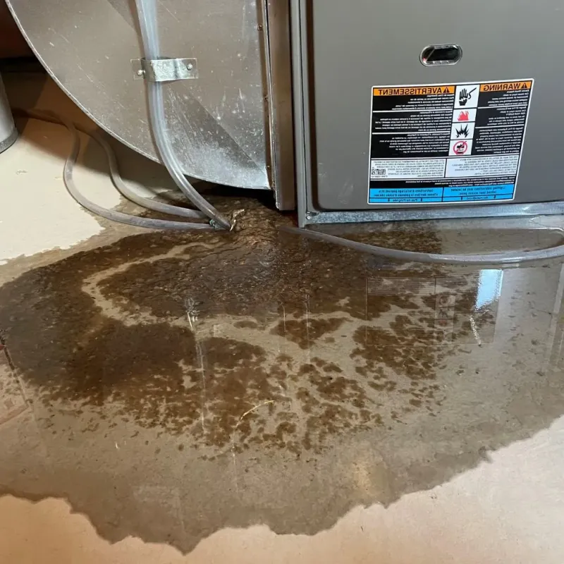 Pipe Burst and Leak Restoration in Orion, IL