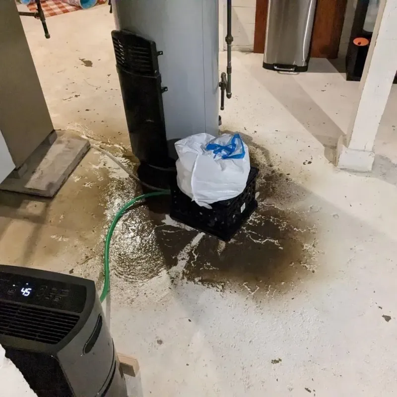 Sewage Backup Cleanup Service in Orion, IL